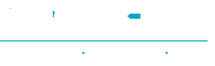 raven logo